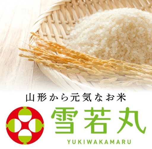 値下げ‼️雪若丸❗️新米山形特A 大粒で食べ応え抜群 20kg（5kg×4袋） 早い者勝ち‼️