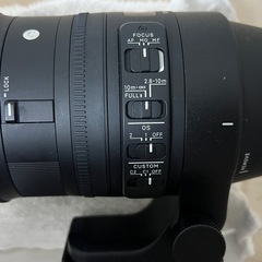 SIGMAレンズ600mm EFマウント
の画像