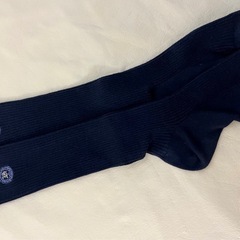 山口県 山口県　宇部フロンティア大学付属香川高等学校　指定ソックスの画像