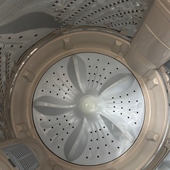 ハイセンス洗濯機の画像