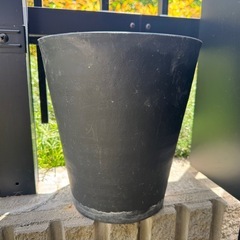 厚みのある大きな鉢の画像