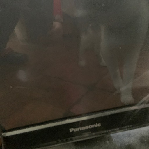 家電 Panasonic TV VIERA