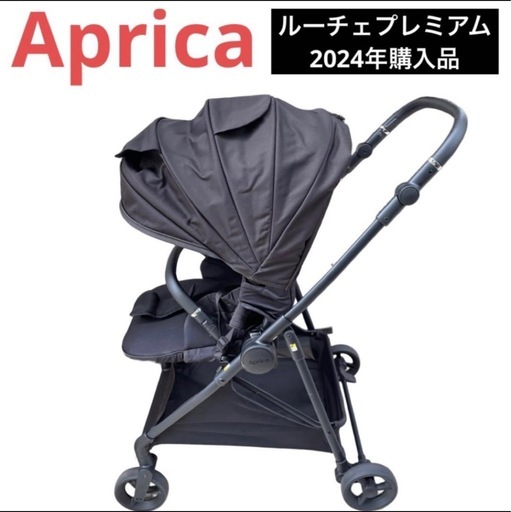 ルーチェプレミアム2024年7月購入品 LUCE(ルーチェ)シリーズ - Babiew ルーチェプレミアム2024年購入品