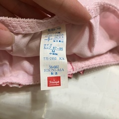 ブラジャーとショーツのセットの画像