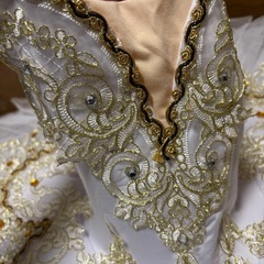 バレエ　キッズ レオタード　ドレスの画像
