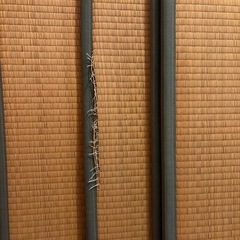 畳マット　4枚セットの画像