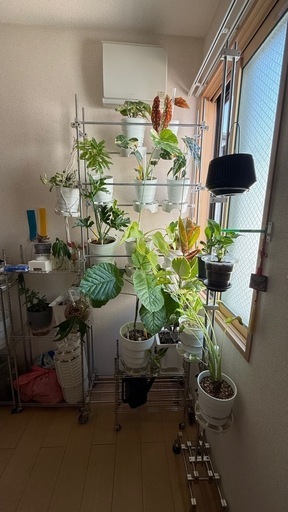 ステンレス製 植物ラック