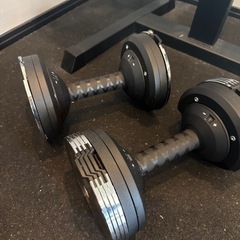 【訳あり】デルタ　可変式ダンベルセット　スタンド&マット付の画像