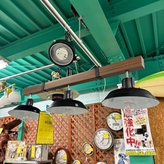 【ジャングルジャングル貝塚店】シーリングライト　ニトリ　3灯　ペンダントライト　ライト　照明　オシャレ　家電　インテリア　部屋　貝塚　二色浜　クリーニング済みの画像