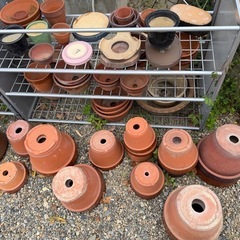 植木鉢ほかご
希望の方どうぞの画像