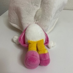 ディズニー デイジー ファンキャプの画像