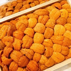 居酒屋 正社員募集！！の画像