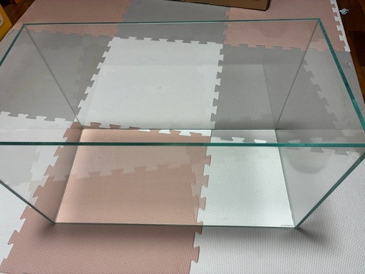 60センチ水槽