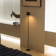 タッチライト　ロングの画像
