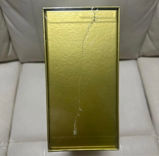 【新品未開封】Amazon産 ポケモン 25th Anniversary Golden Box ゴールデンボックス