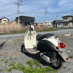ホンダ SCOOP 　の画像