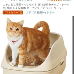 猫のトイレの画像