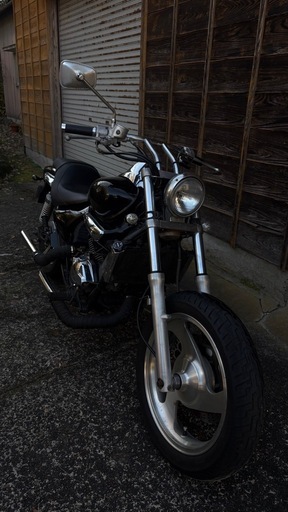 エリミネーター250v