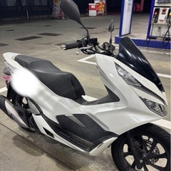 pcx125 jf81   岡山発自賠責R9.12月までの画像