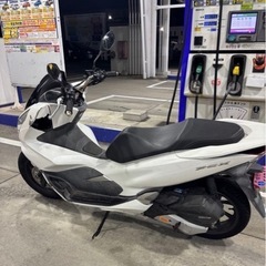 pcx125 jf81   岡山発自賠責R9.12月までの画像