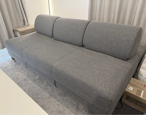 IKEA イケア ソファベッド FLOTTEBO フロッテボー　グレー