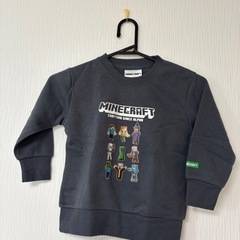 マイクラトレーナーの画像