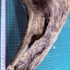 天然流木Aの画像