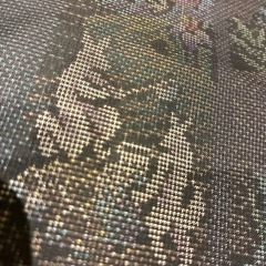 珍品！　鳥獣戯画織り出し　大島紬　カタス式9マルキの画像