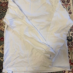 Hanes ヘインズ ビーフィー ロンT BEEFY-T 長袖 Tシャツ Lの画像