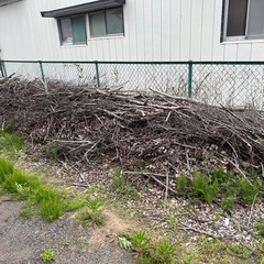 薪🪵ストーブ用　　木の画像