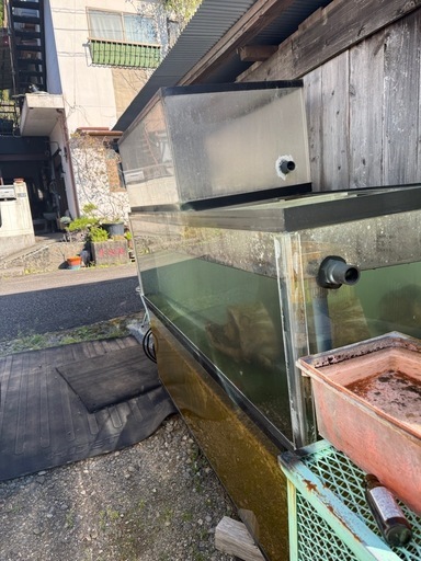 ニッソー水槽、他にも大型アクリル応談 ニッソー水槽、他にも大型アクリル応談 (yas) 鮎喰のその他の中古