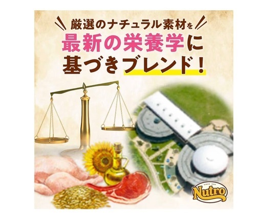 ニュートロ ナチュラルチョイス 大型犬用 子犬用 チキン&玄米 15kgです。決まりました。