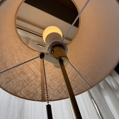 照明　スタンド　ライトの画像