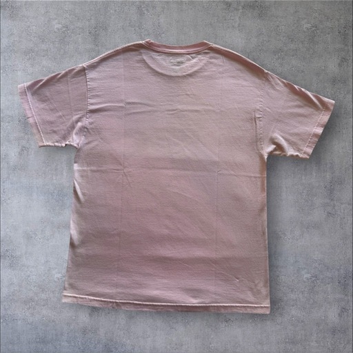 【レア】DGK Next Friday Pinky Tシャツ ピンク Lサイズ