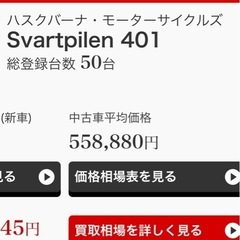 状態良好‼️スヴァルトピレン401の画像