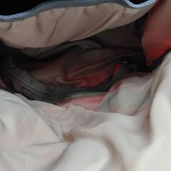 deuter FUTURA 32 バックパック/レインカバー付き！の画像