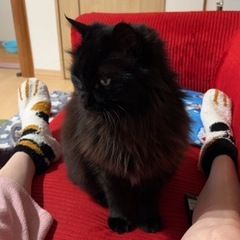 保護しています