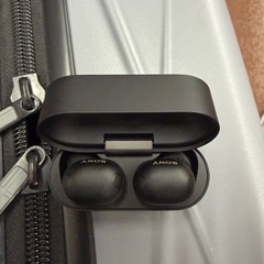 SONY　WF-1000XM6  の画像
