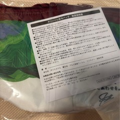 ハーゲンダッツ　保冷保温バッグの画像