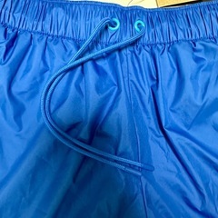 未使用品　タグ付き　ナイキ レディース ショートパンツ Sサイズ ブルーの画像