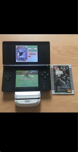 ムシキングスーパーコレクション、DS.ソフト、対応機器、カード大量