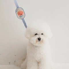 犬の性格を伝えるワッペンの画像