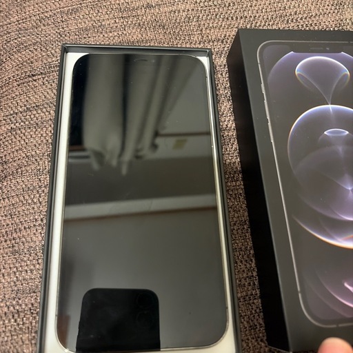 256GB 12pro max