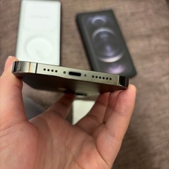 256GB 12pro maxの画像