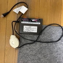 0円! YAMAZENホットカーペットの画像