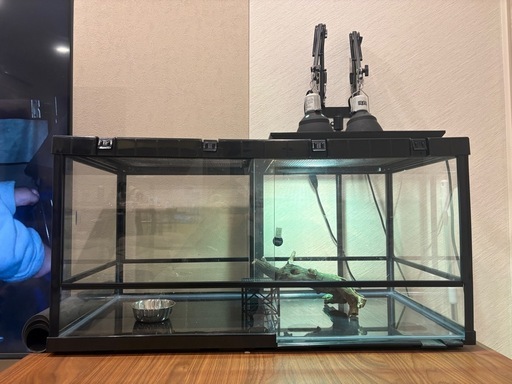 爬虫類　ケージ　飼育セット　豪華用品付き　90cm