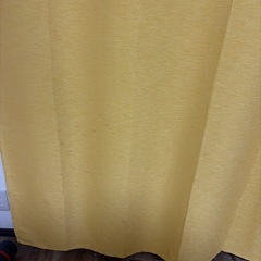 黄色いカーテンの画像