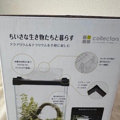 【新品未使用】淡水魚ガラス飼育ゲージの画像