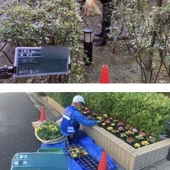 5月1日　与野本町　学生アルバイト募集の画像