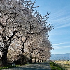 40から50同世代の方楽しく話しましょう♪